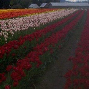 Meet your Posher, Kathleen